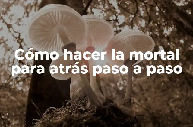Cómo Hacer la Mortal para Atrás Paso a Paso 2 ¿Qué es la mortal para atrás y para qué sirve?