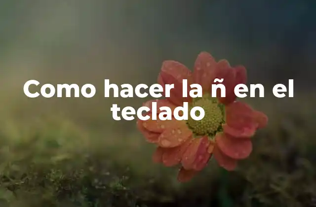 Como Hacer la Ñ en el Teclado