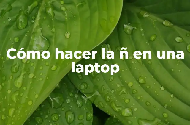 Cómo Hacer la Ñ en una Laptop