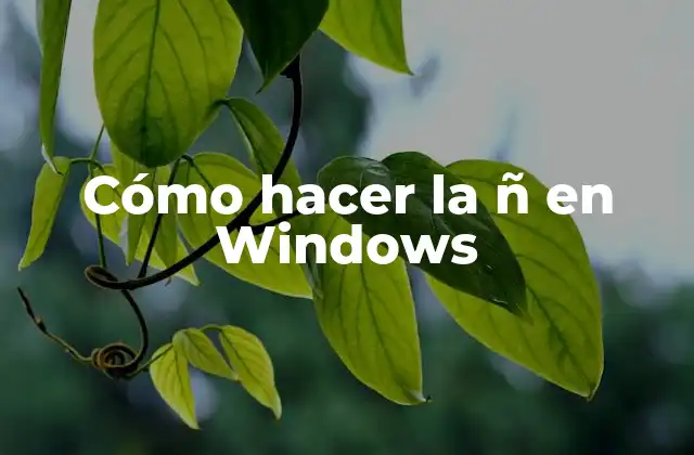 Cómo Hacer la Ñ en Windows 2 ¿Qué es la ñ y por qué es importante en Windows?