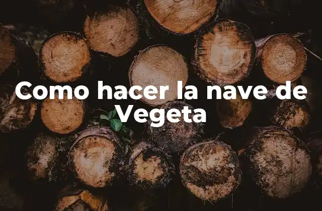 La nave de Vegeta