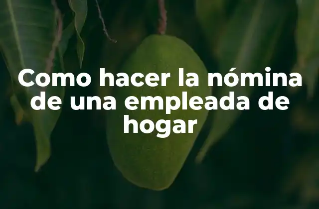 Como Hacer la Nómina de una Empleada de Hogar