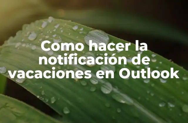 Como Hacer la Notificación de Vacaciones en Outlook