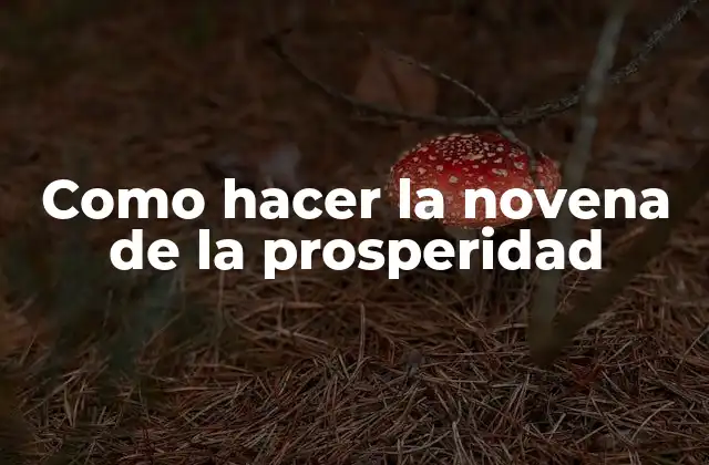 Como Hacer la Novena de la Prosperidad 2 La novena de la prosperidad