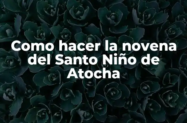 Como Hacer la Novena Del Santo Niño de Atocha