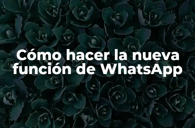 Cómo Hacer la Nueva Función de Whatsapp