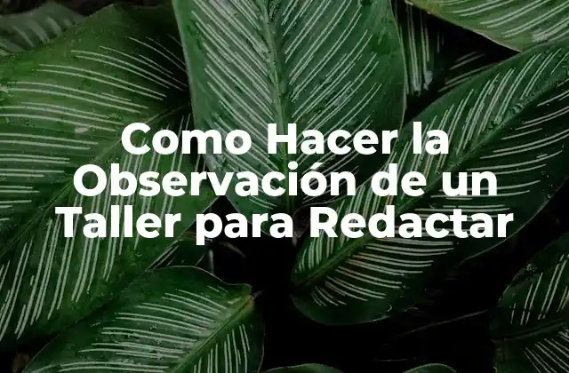 Como Hacer la Observación de un Taller para Redactar
