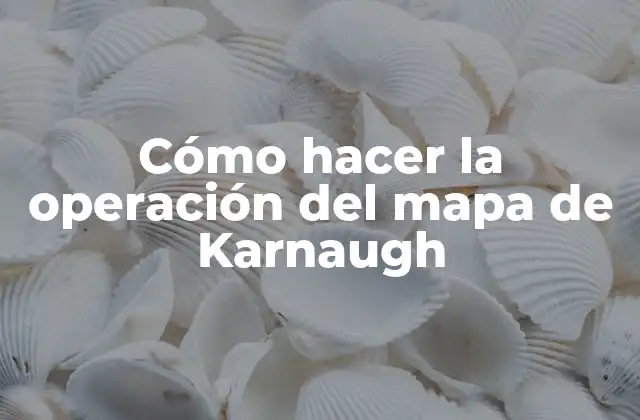 Cómo Hacer la Operación Del Mapa de Karnaugh