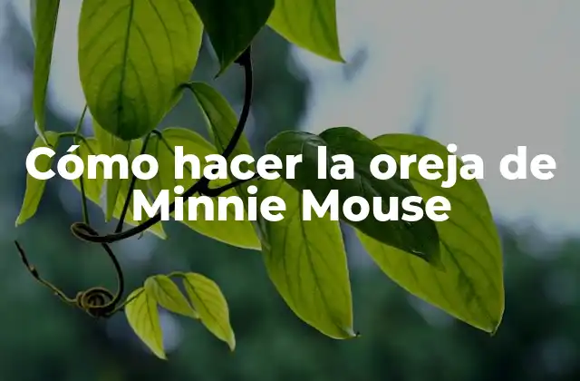 Cómo Hacer la Oreja de Minnie Mouse