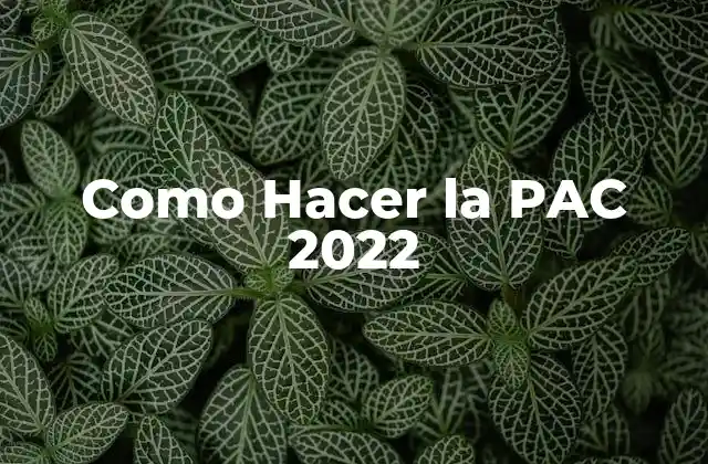 Como Hacer la Pac 2022 2 ¿Qué es la PAC 2022 y para qué Sirve?