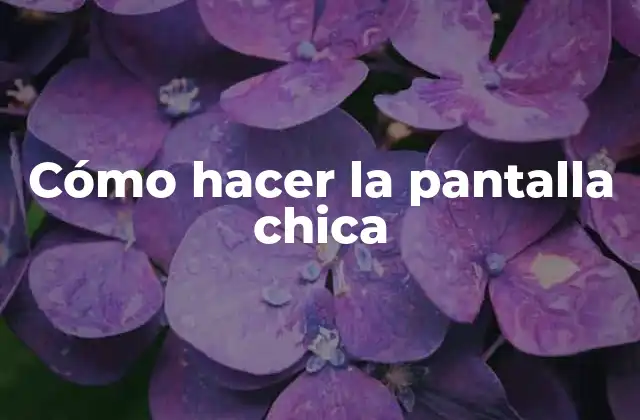 Cómo hacer la pantalla chica