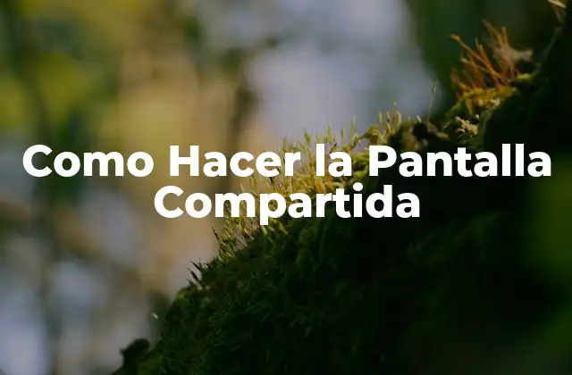 Como Hacer la Pantalla Compartida