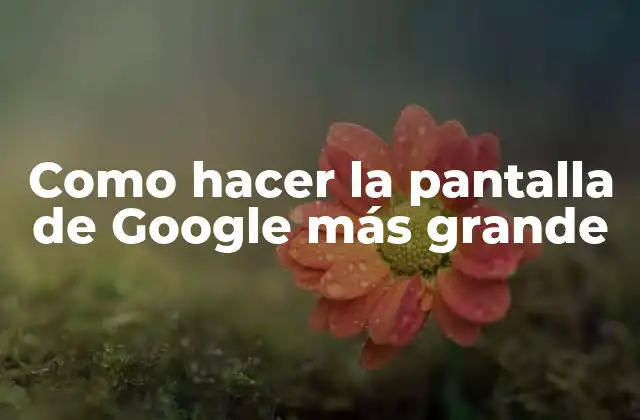 Como Hacer la Pantalla de Google Más Grande 2 ¿Qué es la pantalla de Google y para qué sirve?
