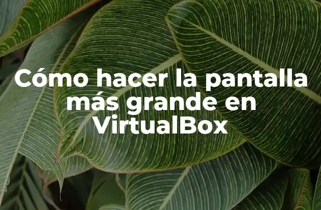 ¿Qué es VirtualBox y para qué sirve?