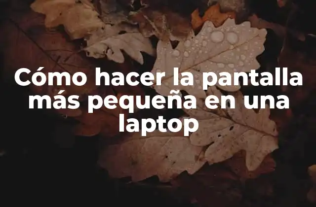 Cómo Hacer la Pantalla Más Pequeña en una Laptop