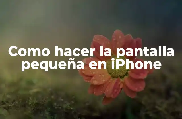 Como Hacer la Pantalla Pequeña en Iphone 2 Reducir el tamaño de la pantalla en iPhone