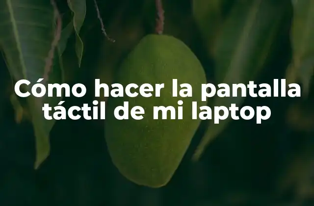 Cómo Hacer la Pantalla Táctil de Mi Laptop 2 ¿Qué es una pantalla táctil y para qué sirve?