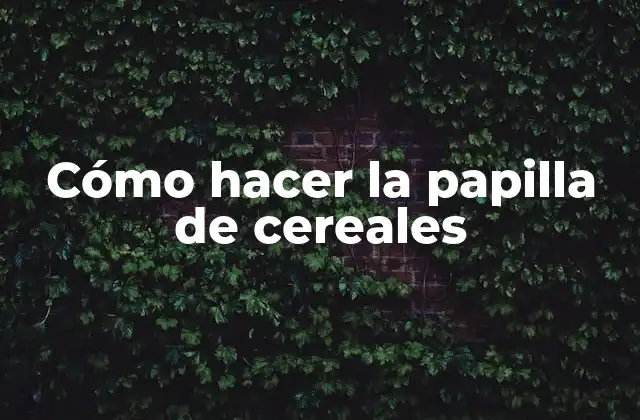 Cómo Hacer la Papilla de Cereales