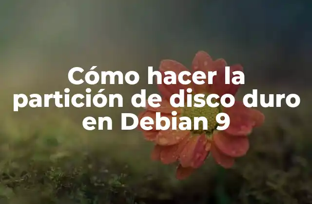 Partición de disco duro en Debian 9