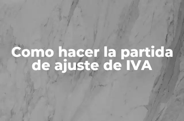 Como Hacer la Partida de Ajuste de Iva