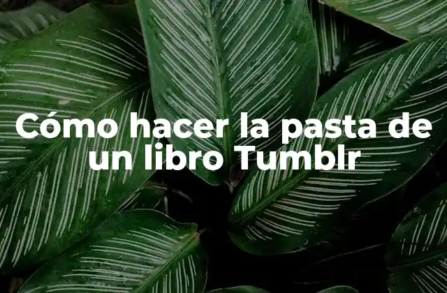Cómo Hacer la Pasta de un Libro Tumblr