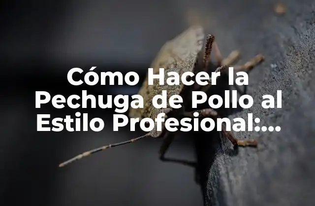Cómo Hacer la Pechuga de Pollo Al Estilo Profesional: Recetas y Consejos