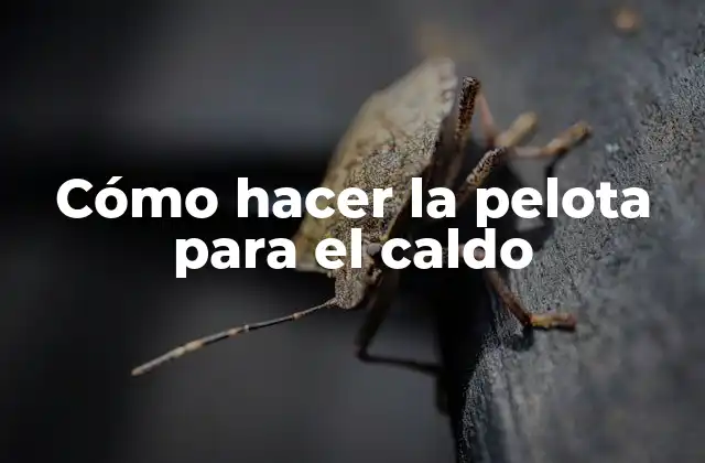 Cómo Hacer la Pelota para el Caldo