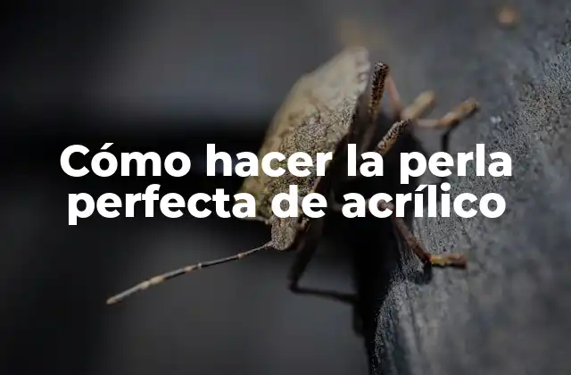 Cómo Hacer la Perla Perfecta de Acrílico