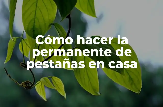 Cómo Hacer la Permanente de Pestañas en Casa