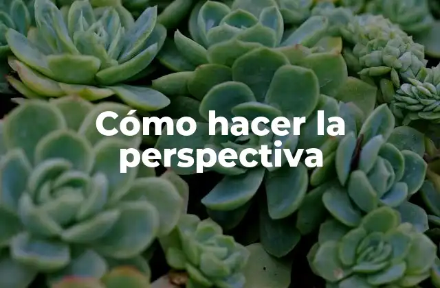 Cómo Hacer la Perspectiva