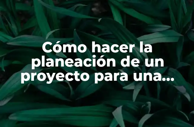 Cómo Hacer la Planeación de un Proyecto para una Empresa