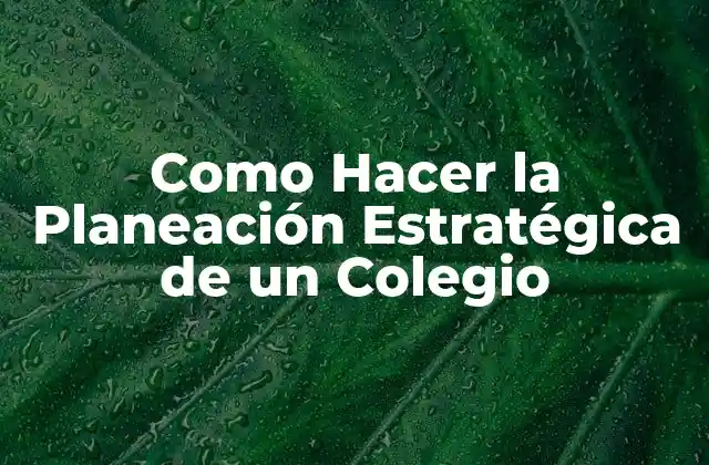 Como Hacer la Planeación Estratégica de un Colegio