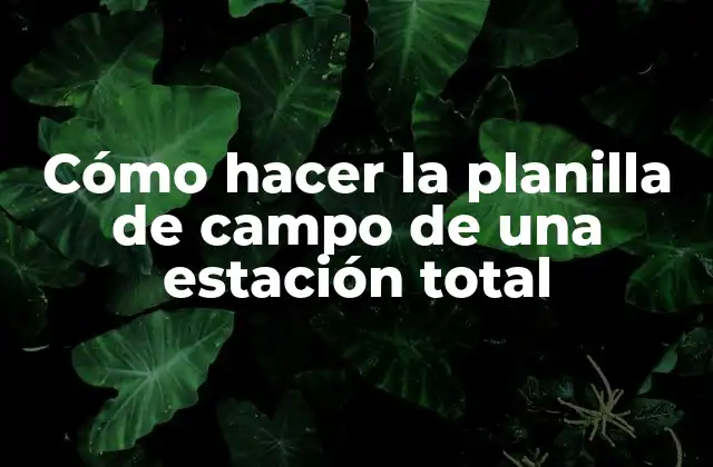 Cómo Hacer la Planilla de Campo de una Estación Total