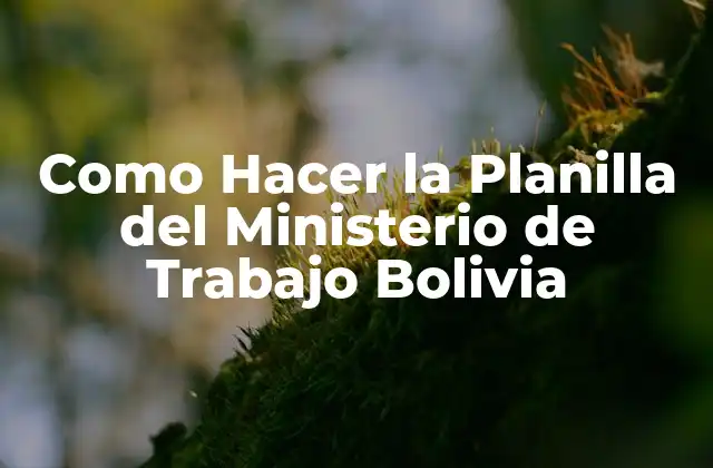 Como Hacer la Planilla Del Ministerio de Trabajo Bolivia