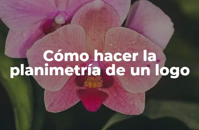 Cómo Hacer la Planimetría de un Logo