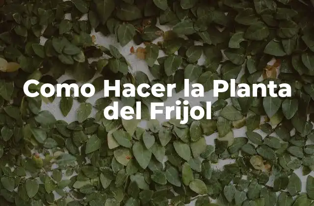 Como Hacer la Planta Del Frijol