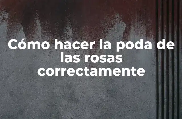 Cómo Hacer la Poda de las Rosas Correctamente