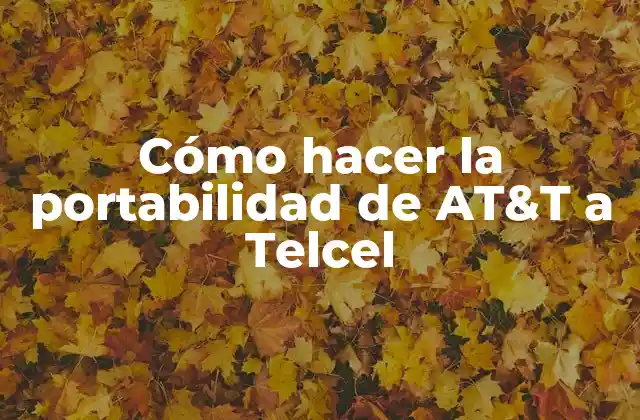 Cómo Hacer la Portabilidad de At&t a Telcel