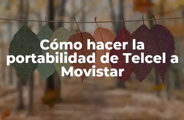 Cómo Hacer la Portabilidad de Telcel a Movistar