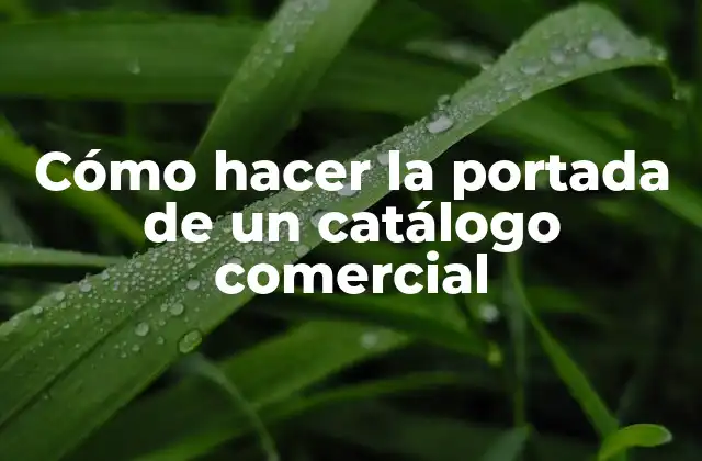 Cómo Hacer la Portada de un Catálogo Comercial