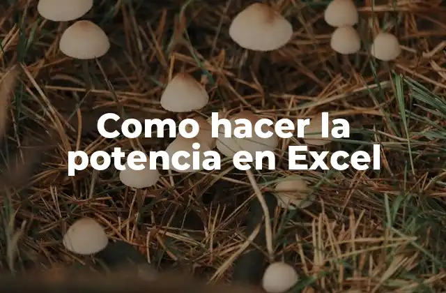 Como Hacer la Potencia en Excel