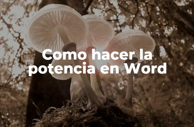La potencia en Word