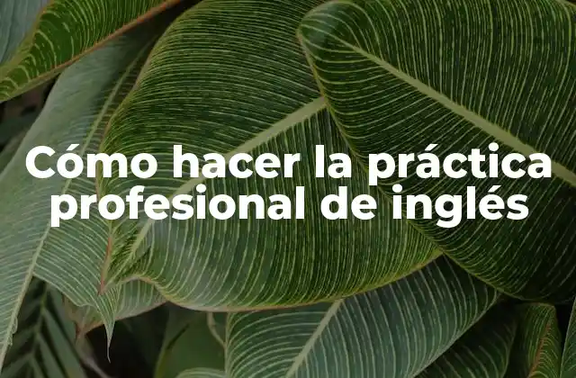Cómo Hacer la Práctica Profesional de Inglés