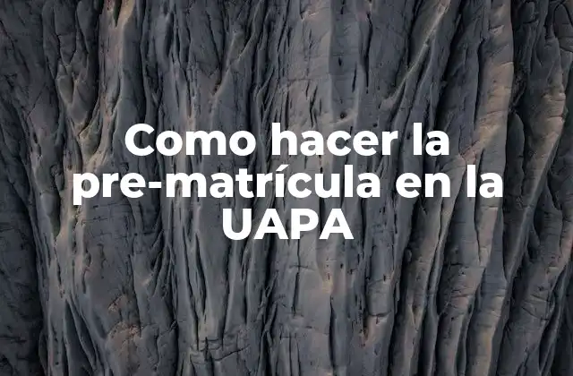 Como Hacer la Pre-matrícula en la Uapa