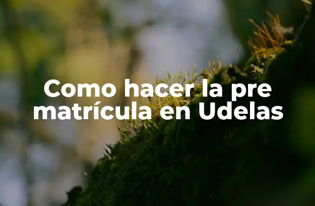 Como Hacer la Pre Matrícula en Udelas