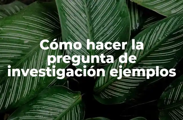 Cómo Hacer la Pregunta de Investigación Ejemplos