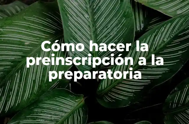 Cómo Hacer la Preinscripción a la Preparatoria