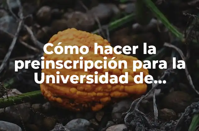 Cómo Hacer la Preinscripción para la Universidad de Valencia