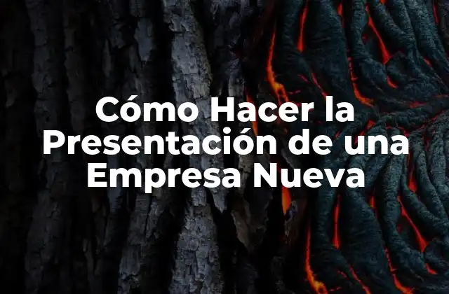 Cómo Hacer la Presentación de una Empresa Nueva