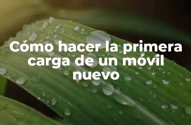 Cómo Hacer la Primera Carga de un Móvil Nuevo